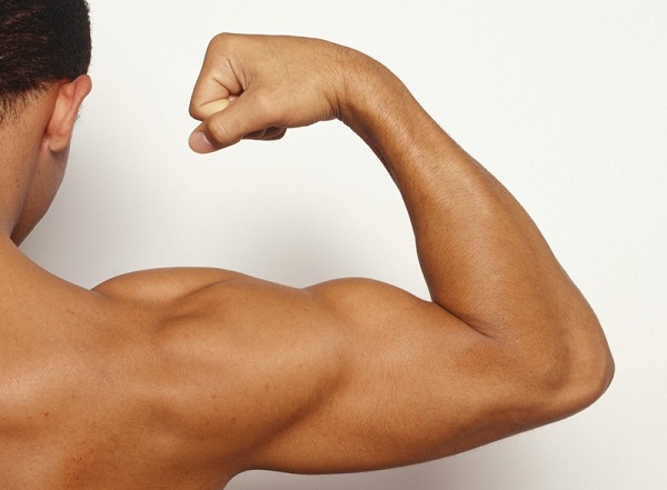 comment-muscler-ses-triceps